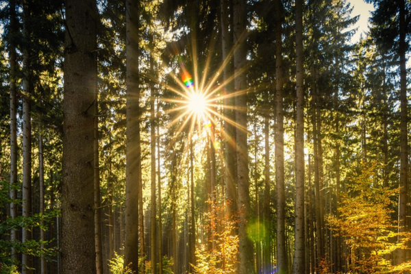 VREMEA 20 SEPTEMBRIE. TEMPERATURI RIDICATE ÎN TOATĂ ȚARA 