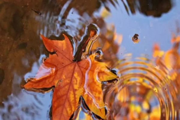 Vremea 8 noiembrie. Zi mohorâtă și ploi însemnate în jumătatea de sud-vest a țării: temperaturi între 12 și 18 grade