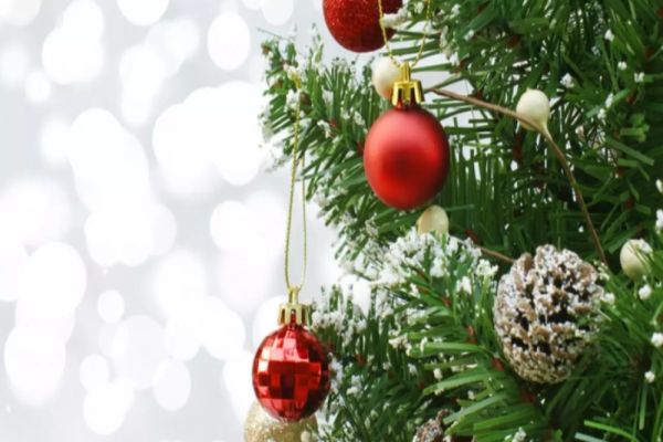 Când trebuie despodobit bradul de Crăciun și ce facem cu el după sărbători
