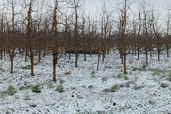 Sprijin financiar pentru agricultorii afectați de condiții meteo extreme