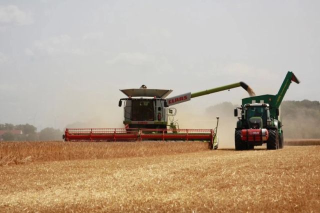 Vremea extremă scumpește mâncarea. Fenomenul El Nino aduce un șoc economic