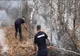 VIDEO: Pompierii intervin la un incendiu mare în Sălciua de Sus