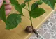 Bărbat din Gârbova de Jos cercetat pentru furt