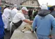 Începe febra Sărbătărilor Pascale. Ce puncte temporare de sacrificare a mieilor au pus la dispoziție autoritățile din Alba.