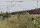 EXCLUSIV : Garnitură de tren plină cu material lemnos REȚINUTĂ în gara TEIUȘ
