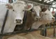 Alba : Peste 200 de bovine se vând lunar în cadrul bazelor de achiziții autorizate de către DSVSA