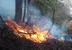 Un nou INCENDIU amenință pădurile județului Alba.  Ministerul Apărării intervine cu un avion SPARTAN.