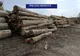 Poliţiştii au confiscat 550,21 mc de material lemnos