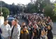  Viorica Dăncilă, despre votul în diaspora: Dacă în trei zile se fac iar cozi, nu mai este explicabil 