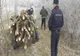 IJJ Alba : Amenzi de peste 11000 de lei pentru furturi de masă lemoasă