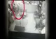 VIDEO : Victima unei TÂLHĂRII trimisă acasă de polițiștii din Alba Iulia după ce a identificat SUSPECTUL