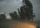 Cod Galben de vânt puternic pentru Nord - Estul județului Alba. Rafale de 55… 65 km/h.