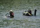 Au fost reluate căutările persoanei înecate în Lacul Oașa. În ajutorul pompierilor din Alba au venit doi scafandri de la Mureș și Cluj