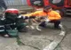 Caine salvat din râul Târnava 