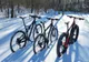 Hoți de biciclete, prinși de polițiști