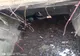 Cățel, salvat de pompieri dintr-o fosă septică! (FOTO/VIDEO)