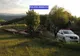14 arbori de esență rășinoasă, tăiați ilegal