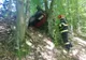 Accident mortal în Răchita