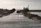 Drumuri afectate și case inundate în Alba -VIDEO-