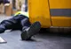 Tânăr de 23 de ani, prins sub o mașină de lapte în timp ce încerca să schimbe o roată