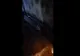 ȘOCANT! Un bărbat a lovit un câine cu o lopată. Polițiștii l-au identificat - VIDEO