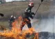 Pompierii intervin pentru a stinge un incendiu de vegetație la Mănarade