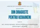 Colecte, în biserici în cadrul campaniei „Din dragoste pentru ucraineni”