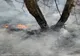 Zeci de incendii de vegetație uscată, stinse de pompieri, în weekend
