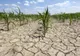 Secetă extremă în mai multe județe, în următoarea săptămână. Avertismentul meteorologilor