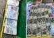 Peste 450.000 de lei găsiți într-o valiză îngropată. Banii proveneau din furturi