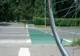 A traversat stada pe bicicletă și a fost accidentat