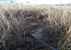 Un bărbat de 30 de ani, găsit fără suflare într-o acumulare de apă 