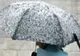 Vremea 5 aprilie - Revine iarna cu temperaturi extrem de scăzute - Unde sunt ploi și ninsori