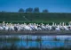 Transportul regulat de călători în Delta Dunării își schimbă programul. Ce trebuie să știe turiștii
