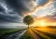 Meteo 16 august 2026. Val de caniculă urmat de o răcire bruscă și furtuni