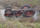 Mort de beat s-a răsturnat cu tractorul în pârâu