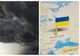 NORUL TOXIC din Ucraina, tot mai aproape de România - pericol URIAȘ pentru sănătate: recomandările specialiștilor