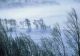 Meteo: Ninsori moderate cantitativ şi strat nou de zăpadă, începând de miercuri