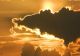 Prognoza meteo pentru următoarele 4 săptămâni: Nou val de căldură începând cu jumătatea lunii