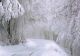 Vremea 9 decembrie - Burniță și ploi slabe - În zonele montane ninge