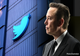 Twitter 2.0 - revoluția lui Elon Musk. Scimbări importante în aplicație pentru companii